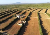Chalet independiente con terreno en venta en la España, Camarles, ref: TR399846 foto