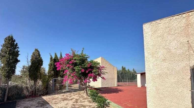 Alicante - Muchamiel - 4467m2