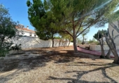 Chalet independiente con terreno en venta en la España, Mutxamel, ref: TR398768 foto