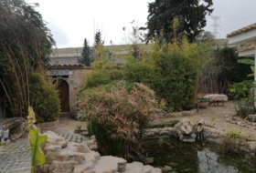 Foto 9