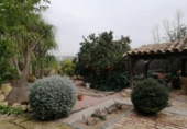 Chalet independiente con terreno en venta en la España, Murcia, ref: TR397920 foto