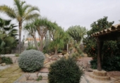 Chalet independiente con terreno en venta en la España, Murcia, ref: TR397920 foto