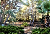 Chalet independiente con terreno en venta en la España, Pedreguer, ref: TR386327 foto