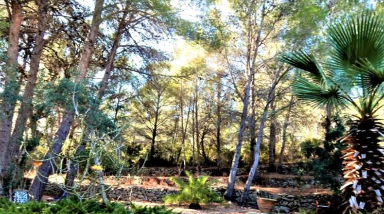 Alicante - Pedreguer - 6000m2