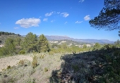 Casa amb terreny en venda a la España, Dolores, ref.: TR399847 foto