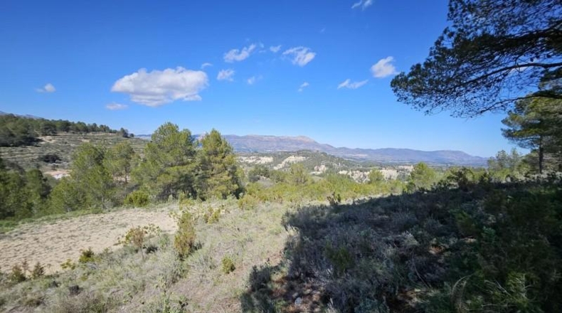 Alicante - Dolores - 415224m2