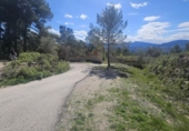 Casa amb terreny en venda a la España, Dolores, ref.: TR399847 foto