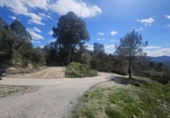 Casa amb terreny en venda a la España, Dolores, ref.: TR399847 foto