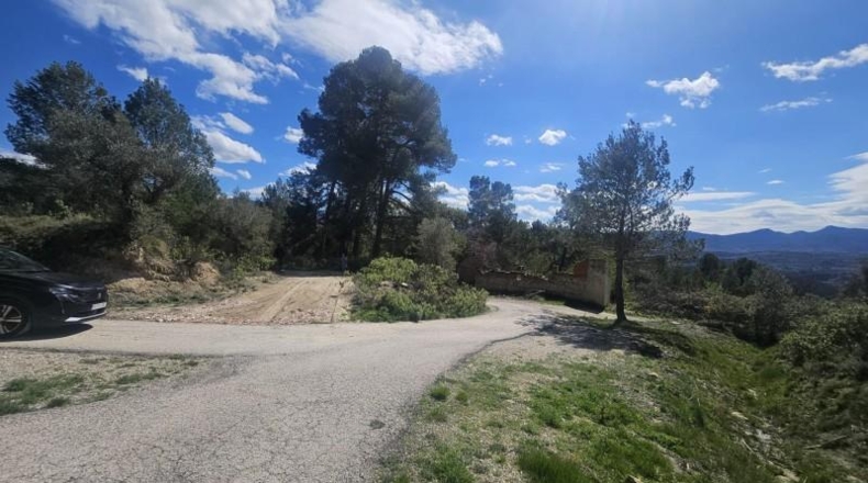 Alicante - Dolores - 415224m2