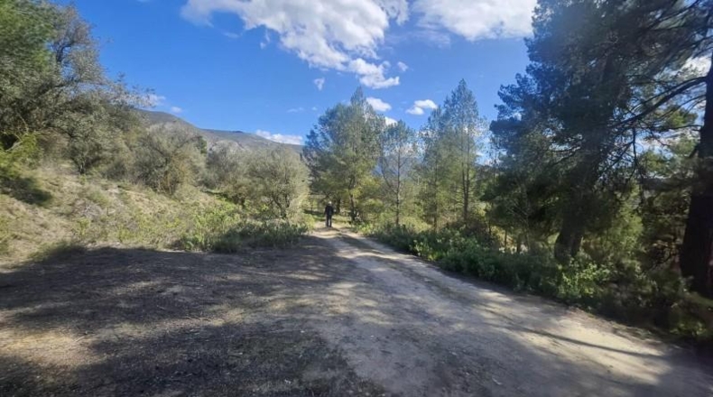 Alicante - Dolores - 415224m2