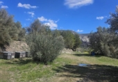 Casa amb terreny en venda a la España, Dolores, ref.: TR399847 foto