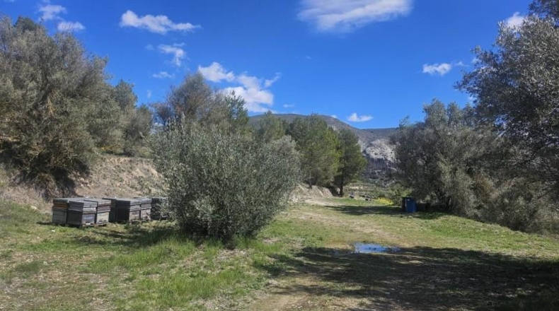 Alicante - Dolores - 415224m2