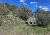 Casa amb terreny en venda a la España, Dolores, ref.: TR399847 foto