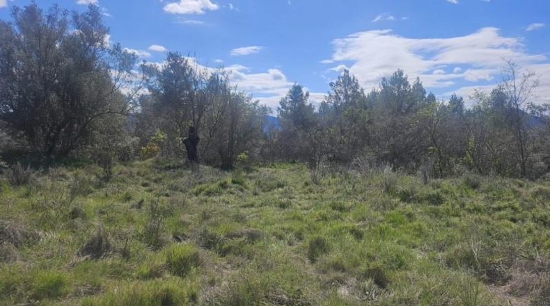Alicante - Dolores - 415224m2