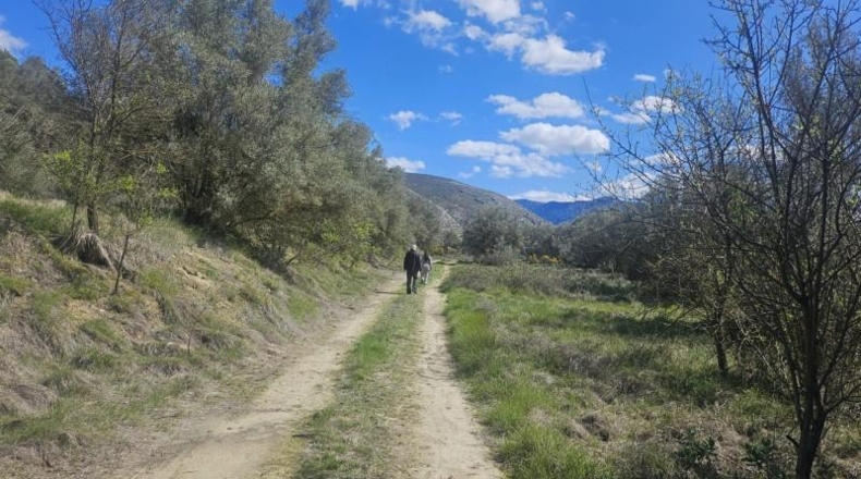 Alicante - Dolores - 415224m2