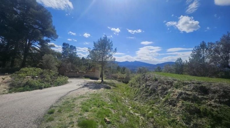 Alicante - Dolores - 415224m2