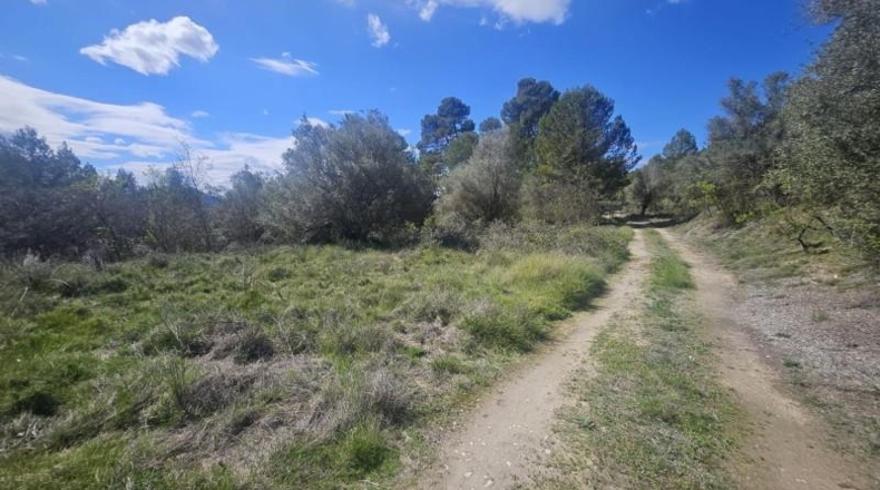 Alicante - Dolores - 415224m2