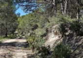Casa amb terreny en venda a la España, Dolores, ref.: TR399847 foto