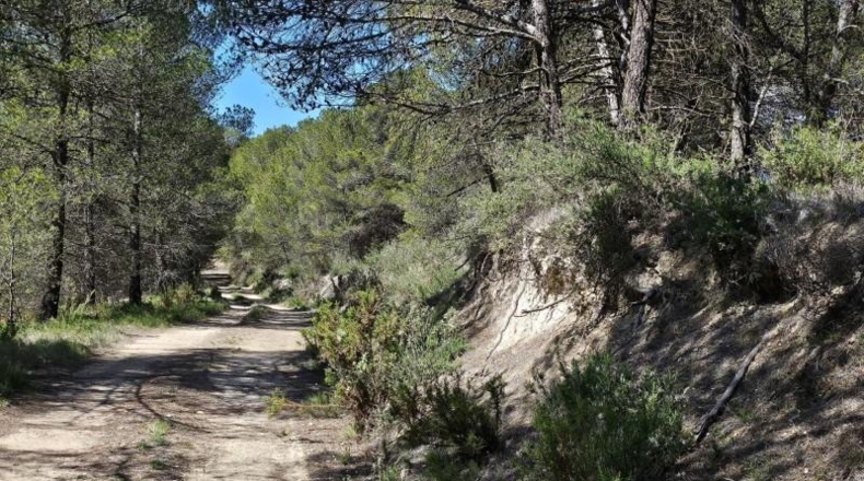 Alicante - Dolores - 415224m2