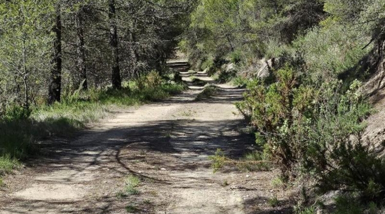 Alicante - Dolores - 415224m2