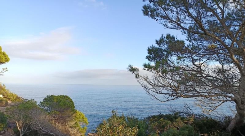 Tarragona - l'Ametlla de Mar - 818m2