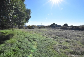 El Pedroso 25156&nbsp;m² 