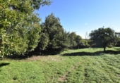 Molí en venda a la España, El Pedroso, ref.: TR399010 foto