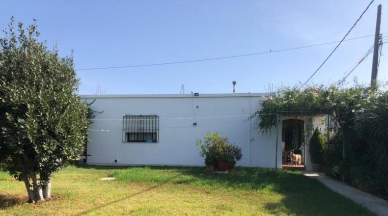 Sevilla - Sevilla - 1200m2