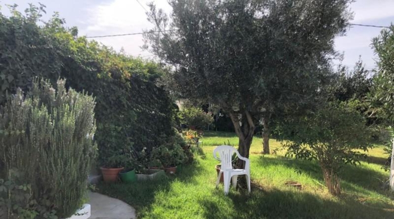 Sevilla - Sevilla - 1200m2