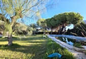 Xalet independent amb terreny en venda a la España, Castelló de la Plana, ref.: TR398913 foto