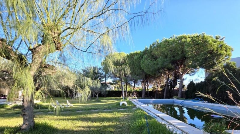 Castellón - Castellón de la Plana - 1889m2