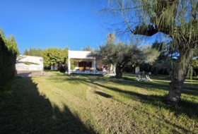 Castelló de la Plana 1889&nbsp;m² 