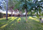 Xalet independent amb terreny en venda a la España, Castelló de la Plana, ref.: TR398913 foto