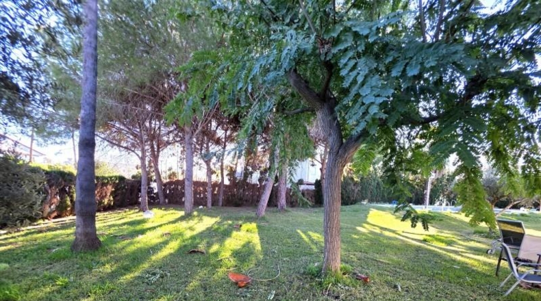 Castellón - Castellón de la Plana - 1889m2