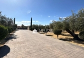Chalet independiente con terreno en venta en la España, Aspe, ref: TR398835 foto