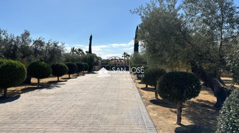 Alicante - Aspe - 10520m2