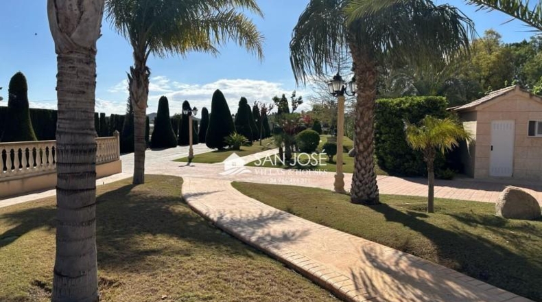 Alicante - Aspe - 10520m2
