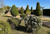Chalet independiente con terreno en venta en la España, Aspe, ref: TR398835 foto