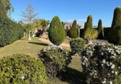 Chalet independiente con terreno en venta en la España, Aspe, ref: TR398835 foto