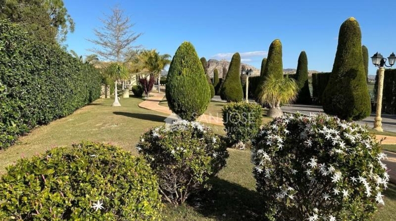 Alicante - Aspe - 10520m2