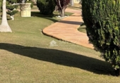 Chalet independiente con terreno en venta en la España, Aspe, ref: TR398835 foto