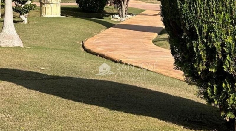 Alicante - Aspe - 10520m2
