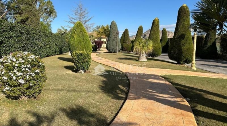 Alicante - Aspe - 10520m2