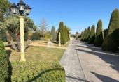 Chalet independiente con terreno en venta en la España, Aspe, ref: TR398835 foto