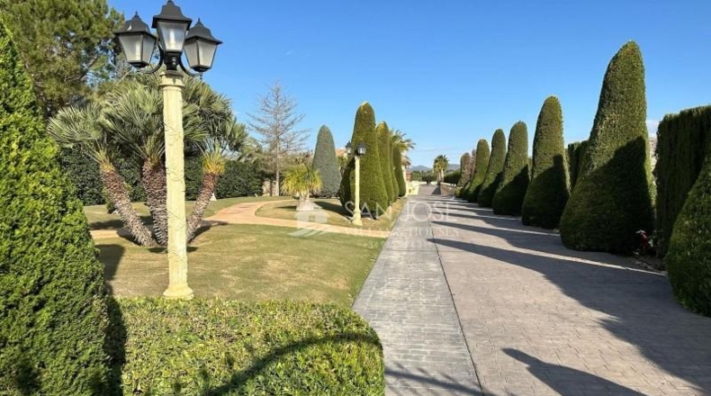 Alicante - Aspe - 10520m2