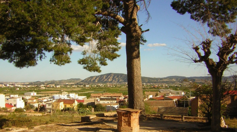 Alicante - Alicante - 12441m2