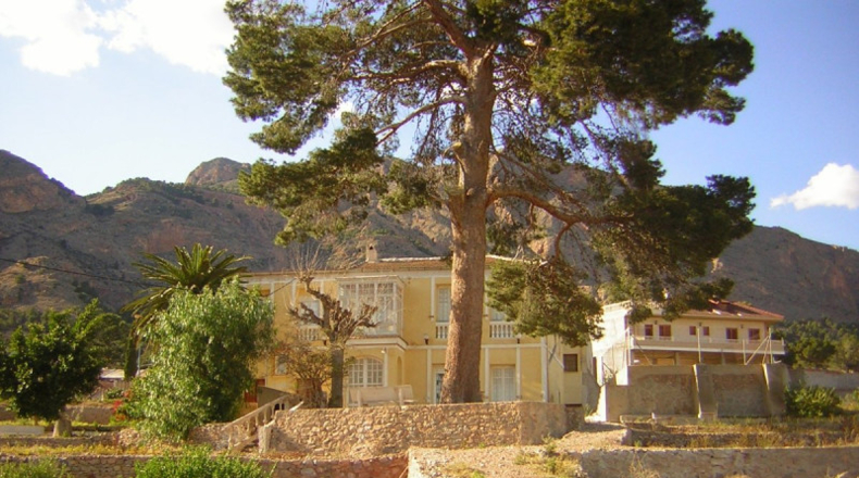 Alicante - Alicante - 12441m2