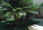 Chalet independiente con terreno en venta en la España, La Nucia, ref: TR399801 foto