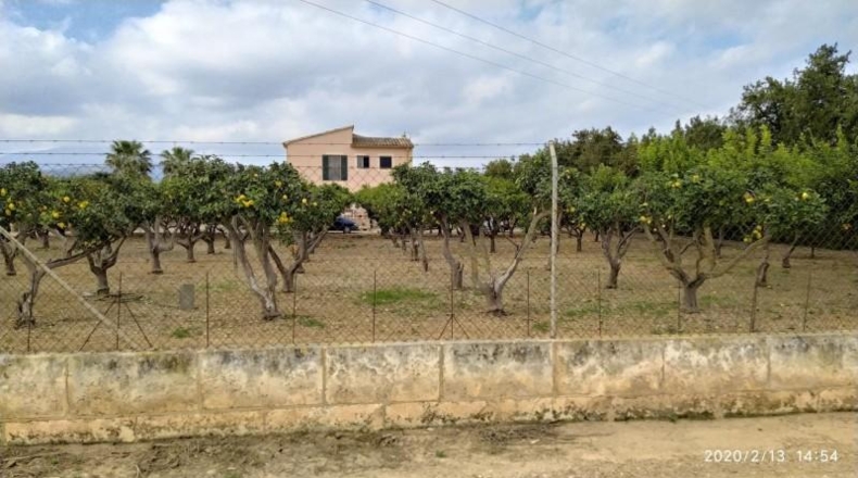 Valencia - la Pobla Llarga - 366m2