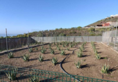 Chalet independiente con terreno en venta en la España, Arona, ref: TR398254 foto